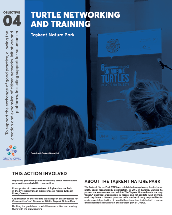 Turtle Networking and Training