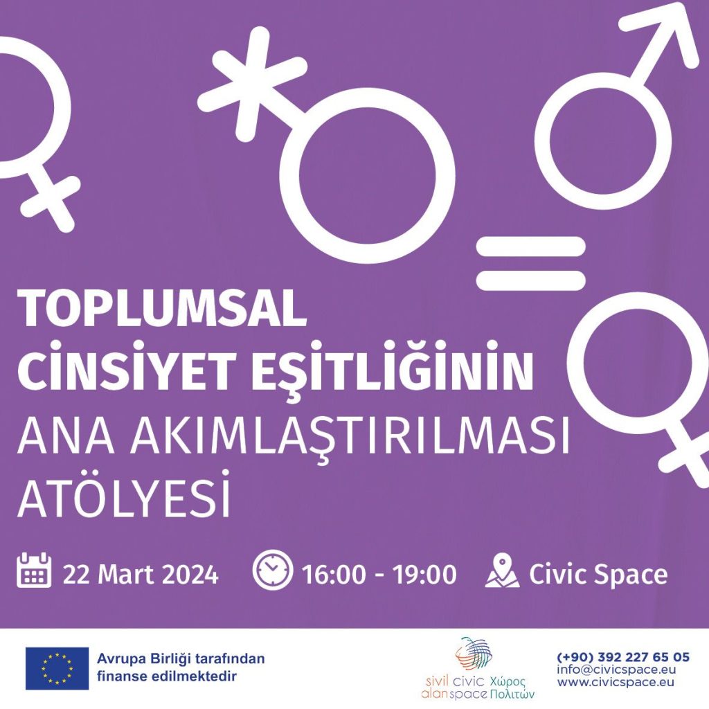 Toplumsal Cinsiyet Eşitliğinin Ana Akımlaştırılması Çalıştayı